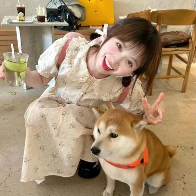 学校的墙不见了